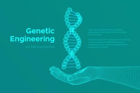 DNA sequence in hand. Wireframe DNA molecules structure mesh. DNA code editab Illustrazione stock