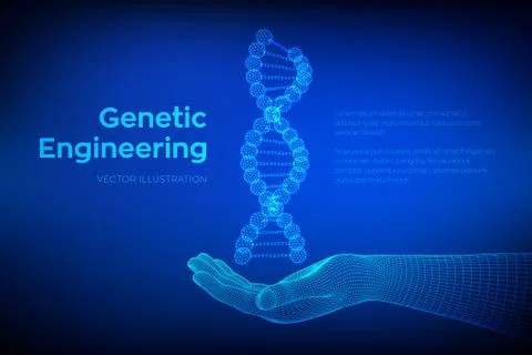 DNA sequence in hand. Wireframe DNA molecules structure mesh. DNA code editab Illustrazione stock