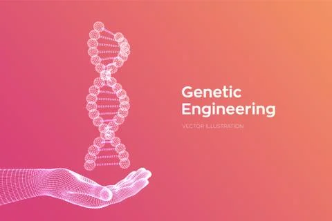 DNA sequence in hand. Wireframe DNA molecules structure mesh. DNA code editab Illustrazione stock