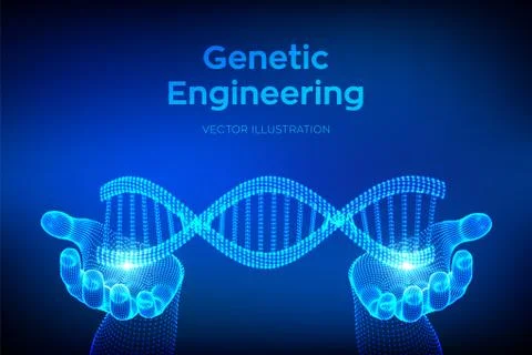 DNA sequence in hands. Wireframe DNA molecules structure mesh. DNA code edita Illustrazione stock
