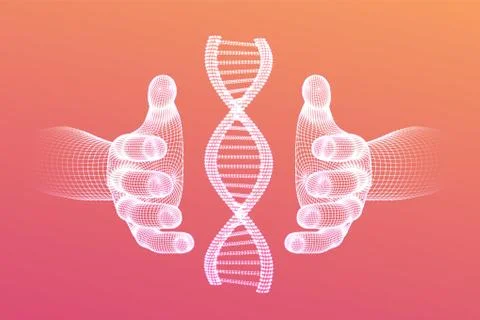 DNA sequence in hands. Wireframe DNA molecules structure mesh. DNA code edita Illustrazione stock