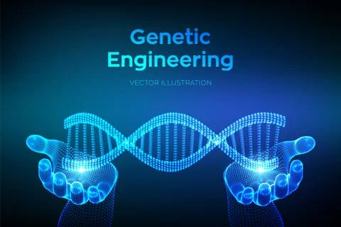 DNA sequence in hands. Wireframe DNA molecules structure mesh. DNA code edita Illustrazione stock