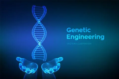 DNA sequence in hands. Wireframe DNA molecules structure mesh. DNA code edita Illustrazione stock