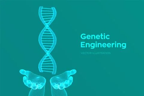 DNA sequence in hands. Wireframe DNA molecules structure mesh. DNA code edita Illustrazione stock