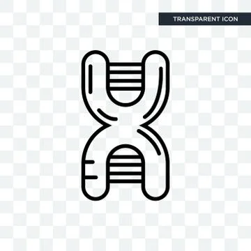 DNA Sequence vector icon isolated on transparent background, DNA Sequence log 無料イラスト素材