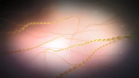 DNA sequence view 3d medical 스톡 일러스트