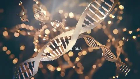 DNA sequence view 3d medical Stock Illustration