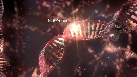 DNA sequence view 3d medical 스톡 일러스트