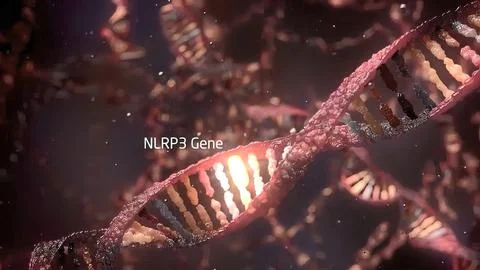 DNA sequence view 3d medical Stock Illustration