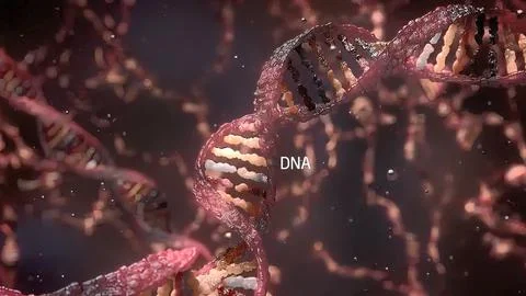DNA sequence view 3d medical Stock Illustration
