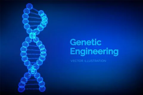 DNA sequence. Wireframe DNA molecules structure mesh. DNA code editable templ 스톡 일러스트