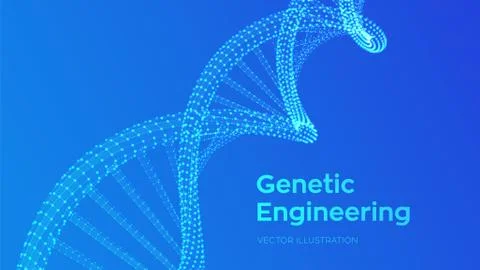 DNA sequence. Wireframe DNA molecules structure mesh. DNA code editable templ Illustrazione stock