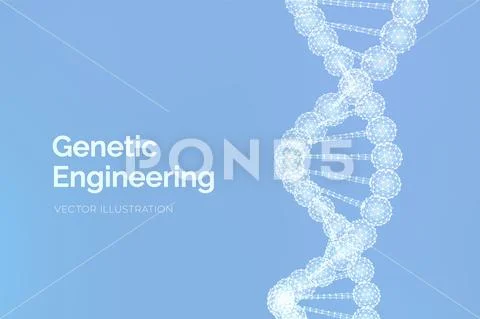 DNA sequence. Wireframe DNA molecules structure mesh. DNA code editable ...
