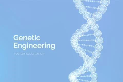 DNA sequence. Wireframe DNA molecules structure mesh. DNA code editable templ Illustrazione stock