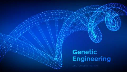 DNA sequence. Wireframe DNA molecules structure mesh. DNA code editable templ 스톡 일러스트
