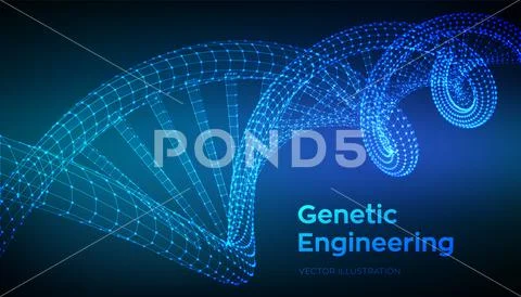 DNA sequence. Wireframe DNA molecules structure mesh. DNA code editable ...