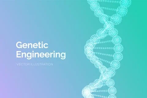 DNA sequence. Wireframe DNA molecules structure mesh. DNA code editable templ Illustrazione stock
