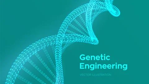 DNA sequence. Wireframe DNA molecules structure mesh. DNA code editable templ 스톡 일러스트