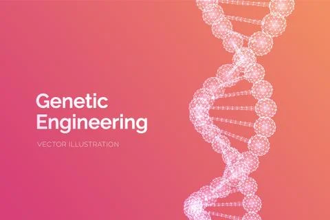 DNA sequence. Wireframe DNA molecules structure mesh. DNA code editable templ Illustrazione stock