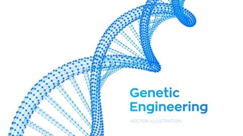 DNA sequence. Wireframe DNA molecules structure mesh. DNA code editable templ Illustrazione stock