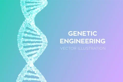 DNA sequence. Wireframe DNA molecules structure mesh. DNA code editable templ Illustrazione stock