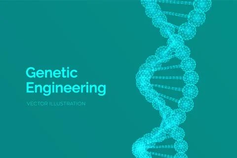 DNA sequence. Wireframe DNA molecules structure mesh. DNA code editable templ Illustrazione stock