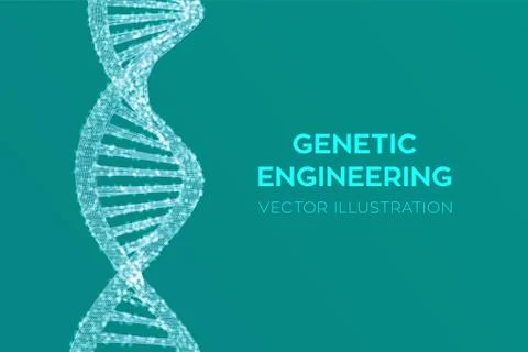 DNA sequence. Wireframe DNA molecules structure mesh. DNA code editable templ Illustrazione stock