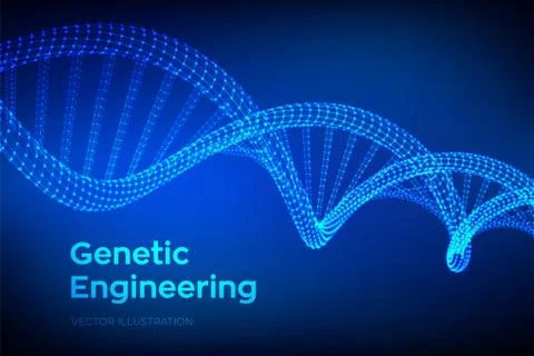 DNA sequence. Wireframe DNA molecules structure mesh. DNA code editable templ Illustrazione stock