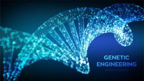 DNA sequence. Wireframe DNA molecules structure mesh. DNA code editable templ 스톡 일러스트