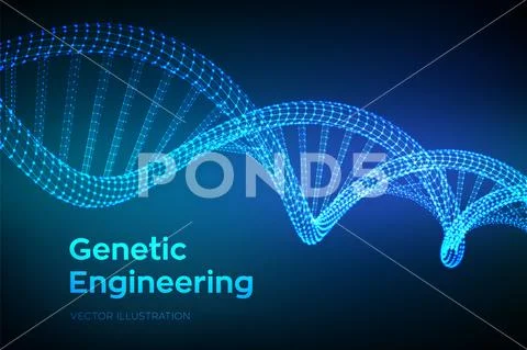 DNA sequence. Wireframe DNA molecules structure mesh. DNA code editable ...