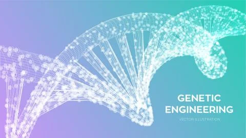 DNA sequence. Wireframe DNA molecules structure mesh. DNA code editable templ Illustrazione stock