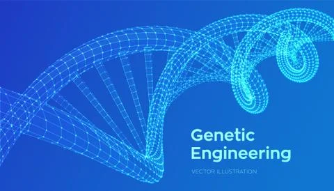 DNA sequence. Wireframe DNA molecules structure mesh. DNA code editable templ Illustration