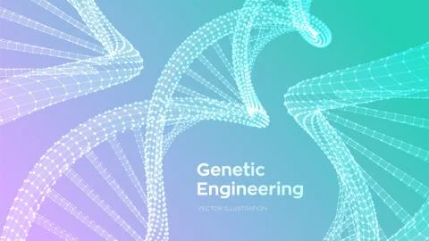 DNA sequence. Wireframe DNA molecules structure mesh. DNA code editable templ 스톡 일러스트
