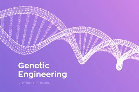 DNA sequence. Wireframe DNA molecules structure mesh. DNA code editable templ 스톡 일러스트