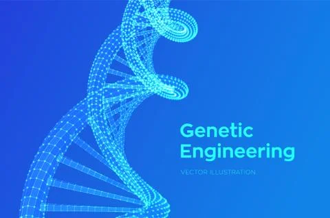 DNA sequence. Wireframe DNA molecules structure mesh. DNA code editable templ Illustrazione stock