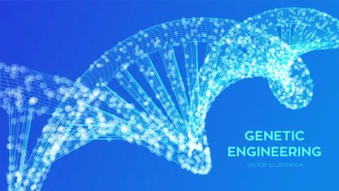 DNA sequence. Wireframe DNA molecules structure mesh. DNA code editable templ Illustrazione stock