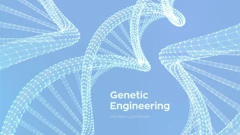DNA sequence. Wireframe DNA molecules structure mesh. DNA code editable templ Illustrazione stock