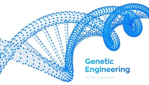 DNA sequence. Wireframe DNA molecules structure mesh. DNA code editable templ Illustrazione stock