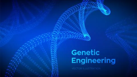 DNA sequence. Wireframe DNA molecules structure mesh. DNA code editable templ Stock Illustration