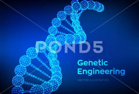 DNA sequence. Wireframe DNA molecules structure mesh. DNA code editable ...