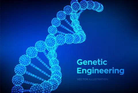 DNA sequence. Wireframe DNA molecules structure mesh. DNA code editable templ Illustrazione stock