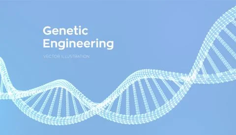 DNA sequence. Wireframe DNA molecules structure mesh. DNA code editable templ Illustrazione stock