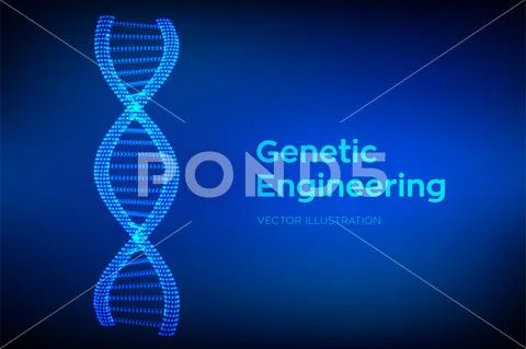 DNA sequence. Wireframe DNA molecules structure mesh. DNA code editable ...