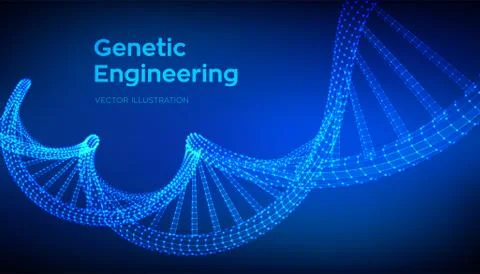 DNA sequence. Wireframe DNA molecules structure mesh. DNA code editable templ Illustrazione stock