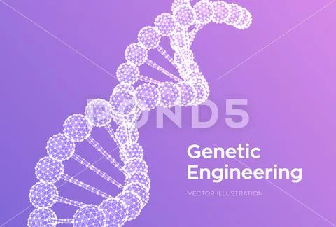 DNA sequence. Wireframe DNA molecules structure mesh. DNA code editable ...