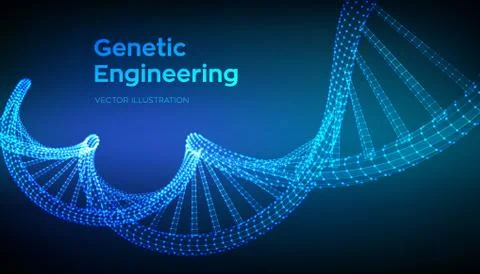 DNA sequence. Wireframe DNA molecules structure mesh. DNA code editable templ Illustrazione stock