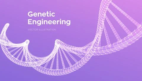 DNA sequence. Wireframe DNA molecules structure mesh. DNA code editable templ Illustrazione stock