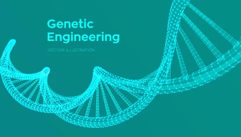 DNA sequence. Wireframe DNA molecules structure mesh. DNA code editable templ Illustrazione stock