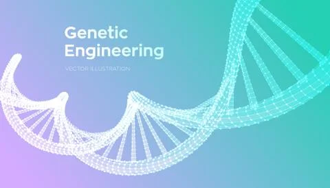 DNA sequence. Wireframe DNA molecules structure mesh. DNA code editable templ Illustrazione stock