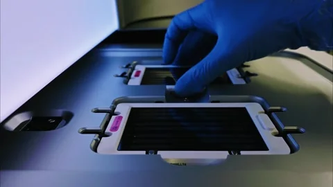 DNA sequencer. Gloved hand is handling flow cell with multiple lanes for DNA Stock-Footage 278687273